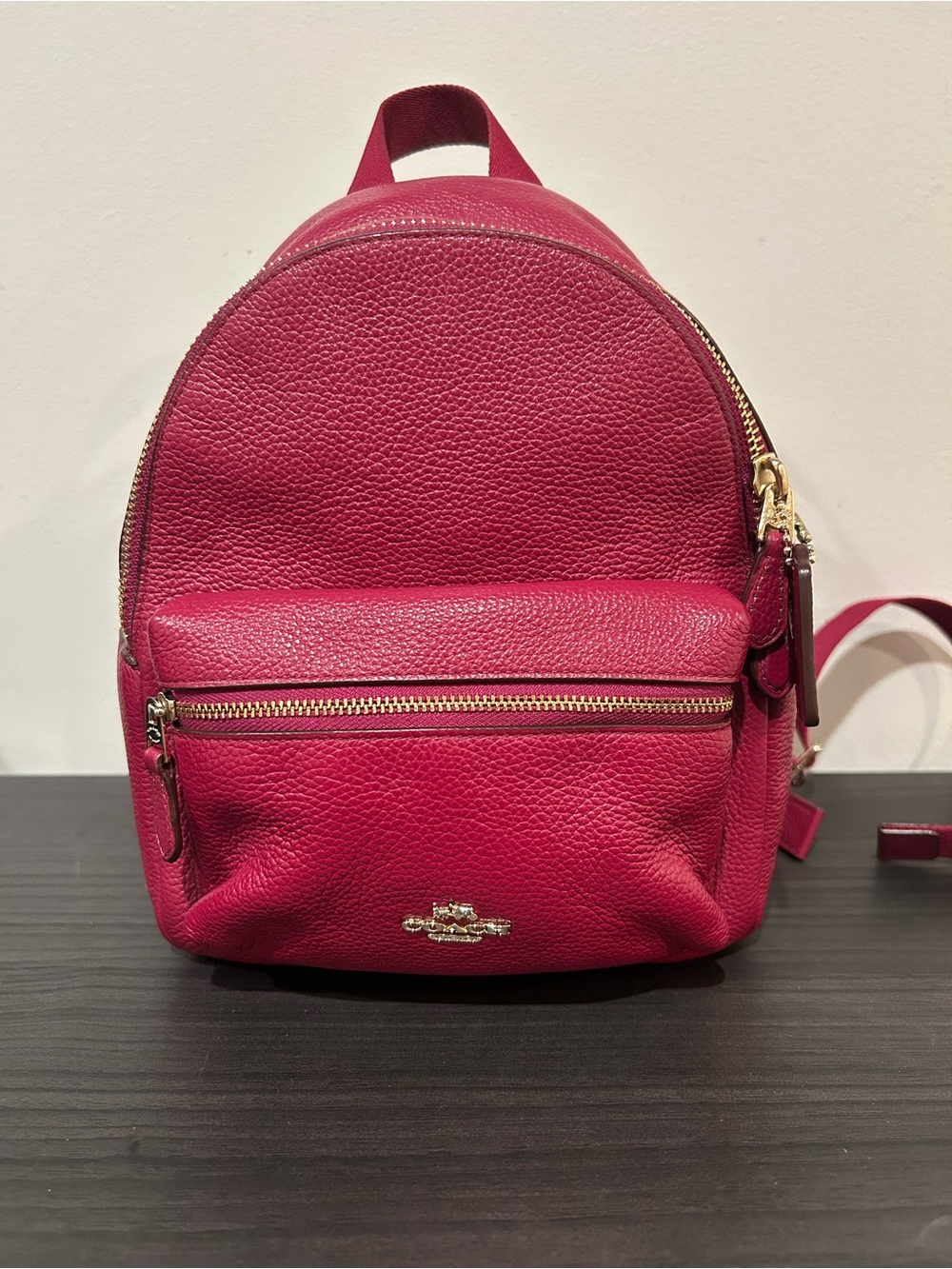 Coach Mini Charlie Backpack in Pebble Leather EUC